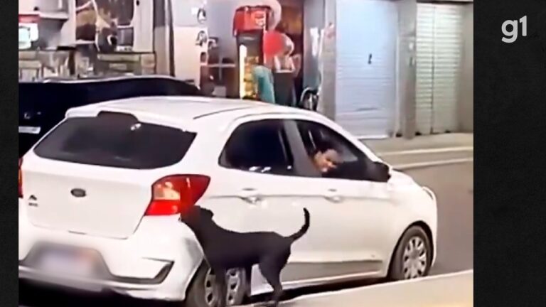 Polícia investiga mulheres que abandonaram cachorro em praça na Baixada Fluminense; VÍDEO | Rio de Janeiro