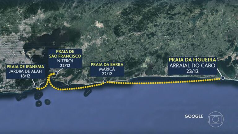 Lobo-marinho aparece em Arraial do Cabo | Rio de Janeiro