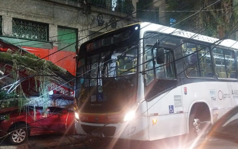 Ônibus e mais cinco carros são atingidos durante queda de árvore na Zona Norte | Rio de Janeiro
