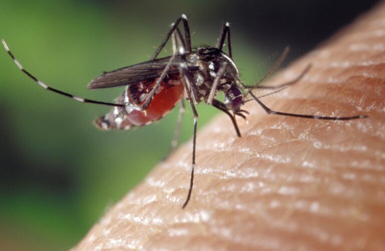 MP define pagamento de R$ 60 mil por deficiência causada pelo vírus Zika