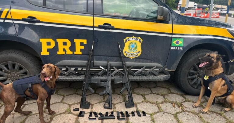 Motorista é preso pela PRF com 3 fuzis e 10 pistolas escondidos em fundo falso de carro no RJ – Noticias R7