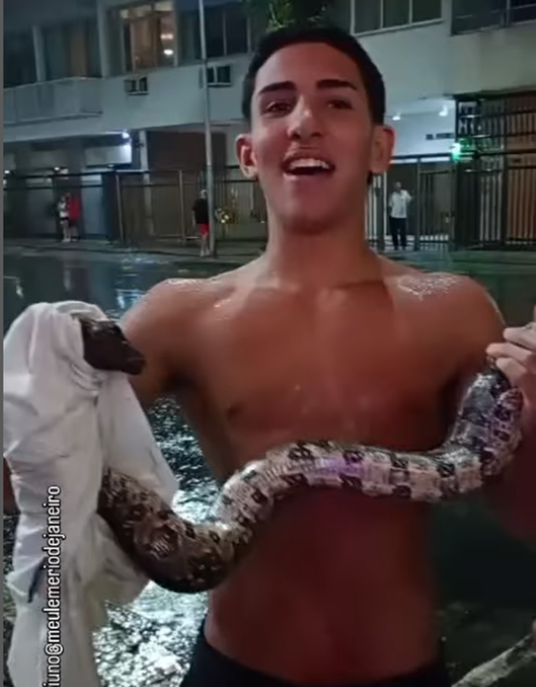 Cobra é vista em rua de Copacabana após chuva desta quinta-feira; vídeo
