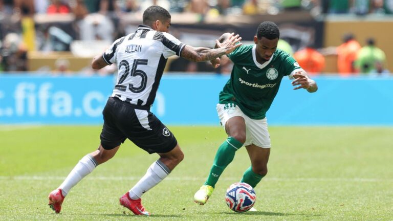 Palmeiras x Botafogo: veja quem foi eleito o melhor em campo