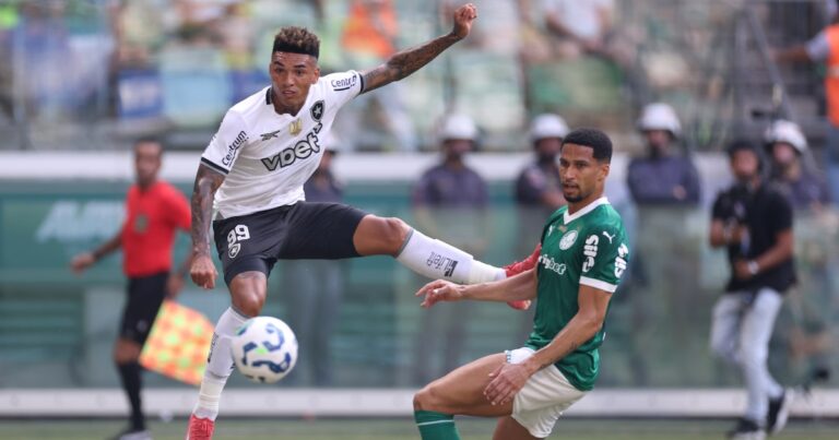 Palmeiras x Botafogo teve disputas épicas nos últimos anos e inspira rivalidade no Mundial de Clubes